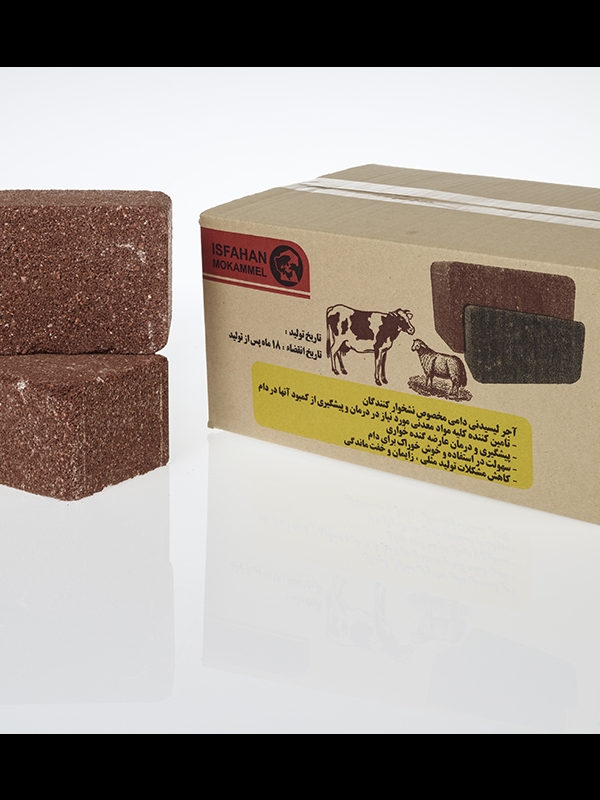 آجر لیسیدنی